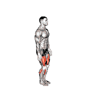 Semi Squat Jump