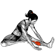 Seated Hip External Rotator and Hip Extensor Stretch