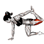 All Fours Squad Stretch demonstration
