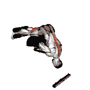 Glute Ham Developer Hip Extension