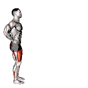Bodyweight Forward Lunge (Smaller Stance Upright Torso)