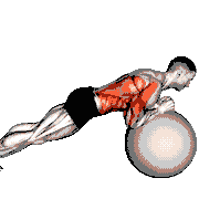 Exercise Ball Body Saw