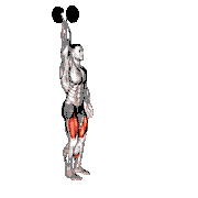 Dumbbell Single-Arm Overhead Lunge