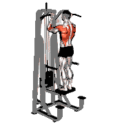 Lever Assisted Standing Chin-Up