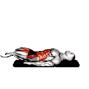 Lying Leg Raise Flat Bench