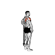 Band Front Lateral Raise demonstration