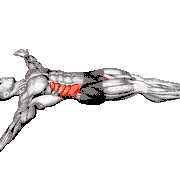 Supine Spinal Twist Yoga Pose
