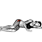 Side Lying 90 Degrees Hip Clam