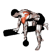 Kettlebell Rear Delt Row