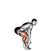 Band Deadlift demonstration