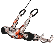 Ring Wide-Grip Inverted Row on Floor