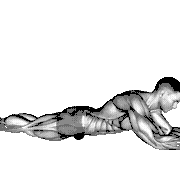 Roll Ball Iliopsoas