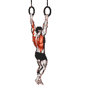 Ring Pull-Up