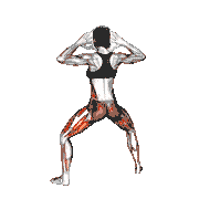 Half Plyo Squat Twist