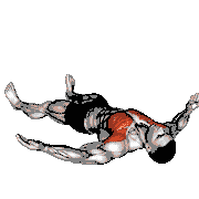 Lying Floor Fly