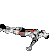 Medicine Ball Lying Leg Raise demonstration