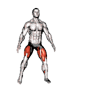 Side Squat Walk