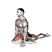 Lying Leg Tuck Hip Stretch