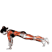 Downward Dog Leg Raise