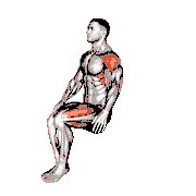 Sitting Lateral Raise Step-Out on a Padded Stool demonstration