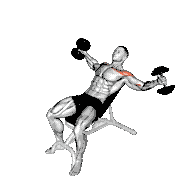 Dumbbell Incline Breathing