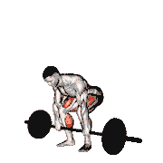 Barbell Pause Deadlift