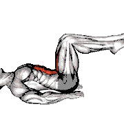 Lying Alternate Toe Touch Floor