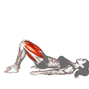 Glute Bridge Hold with Kick