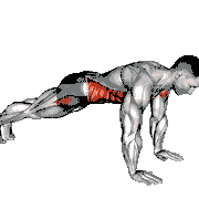 Plank on Hands