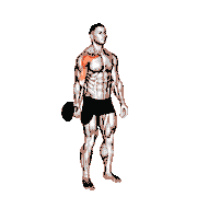 Dumbbell One-Arm Low Fly