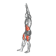 Toy Soldier Dynamic Stretch