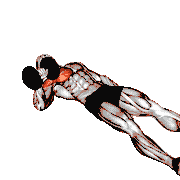 Dumbbell Alternating Floor Press