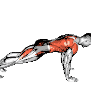 Down to Upward Dog