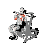 Lever Shoulder Press