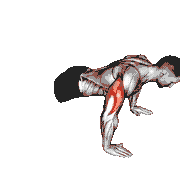 Push-Up Plus