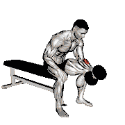 Dumbbell One-Arm Seated Neutral Wrist Curl