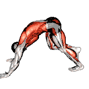 Downward Dog Sprint