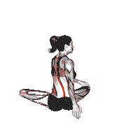 Seated Rotation Stretch