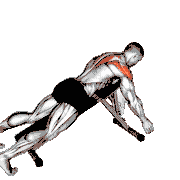Prone Y Raise