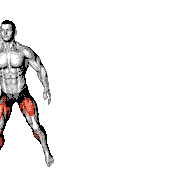 Shuffle Leg Lift