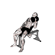 Dumbbell Incline One-Arm Hammer Press