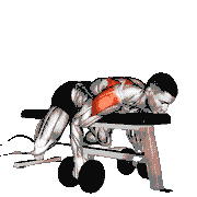 Dumbbell Lying Rear Lateral Raise