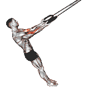 Ring Arm Curl