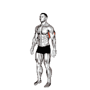 Overhead Triceps Stretch