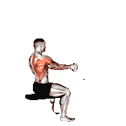 Cable Seated One-Arm Alternate Row