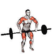 Barbell Hang Clean demonstration