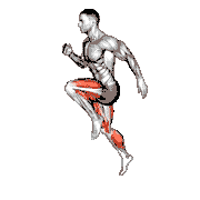 High Knee to Butt Kick