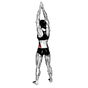 Side Bend Arms Above
