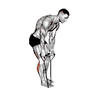 Standing Hamstring and Calf Stretch with Strap