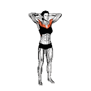 Double Pulse Elbow Fly
